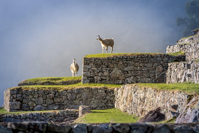 5 Day - Tour to Machu Picchu Traditional - Group Service - Physical Fitness Requirements
