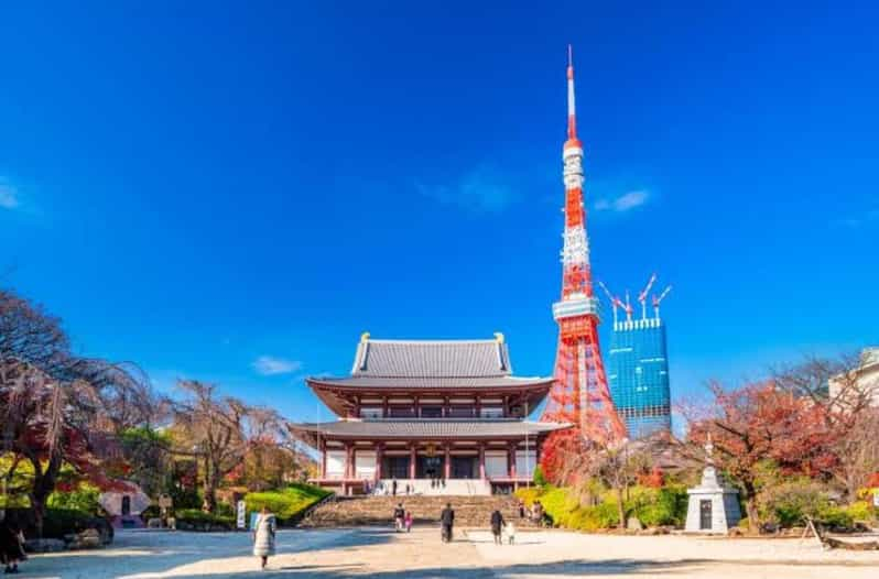 5-Days Private Tour Tokyo, Mt Fuji, Nikko, Hakone and Nagano - Transportation and Comfort