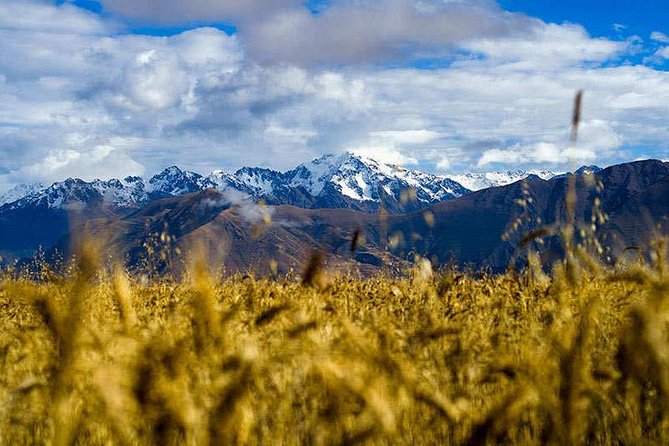 8-Day Salkantay Trek Tour to Machu Picchu From Cusco - Included Services