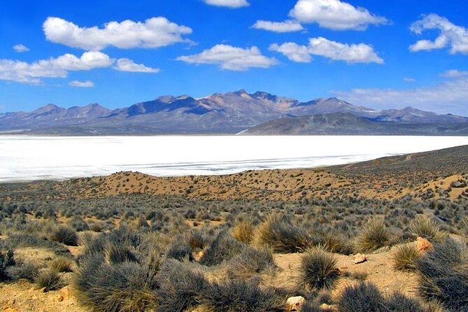 8-Hours Tour in Arequipa Laguna De Salinas With Pick-Up - Unique Wildlife Experiences