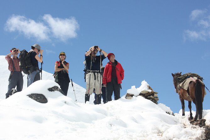 9 Days Druk-Path Trek With Cultural Sightseeing - Guest Reviews and Feedback