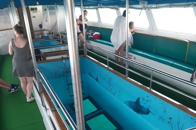 90-Minutes Glass Bottom Trip With Quick Dip - Swimming Opportunity