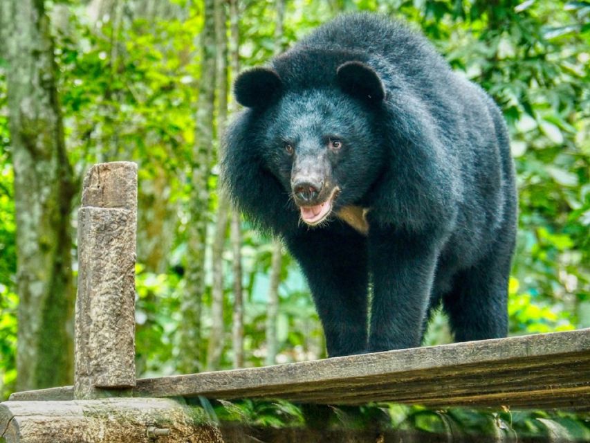 A 10-Day Ethical Animals Tour of Cambodia - Unique Animal Experiences