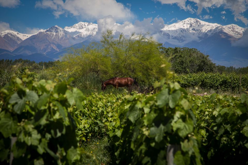 A Day of Rafting, Wineries & Real Argentine Asado - Breakfast at Gran Hotel Potrerillos