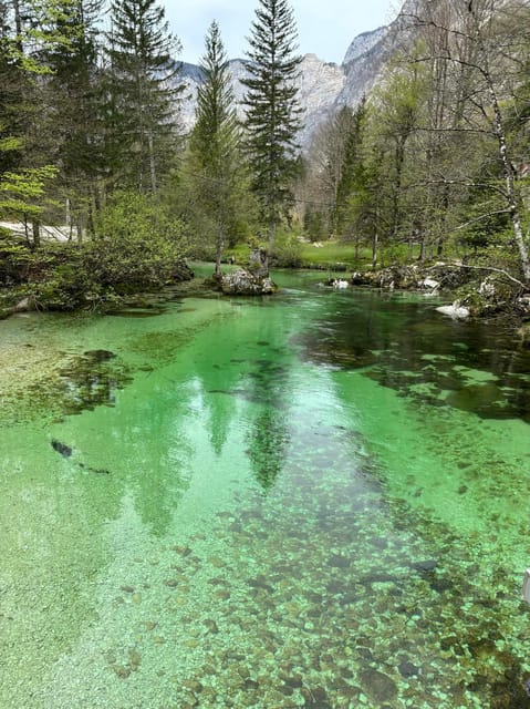 A Day Trip From Ljubljana: Magical Nature and Lake Bohinj - Experience and Activities