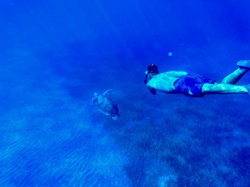 Abades: Guided Snorkeling Tour With Photos - Included in the Tour