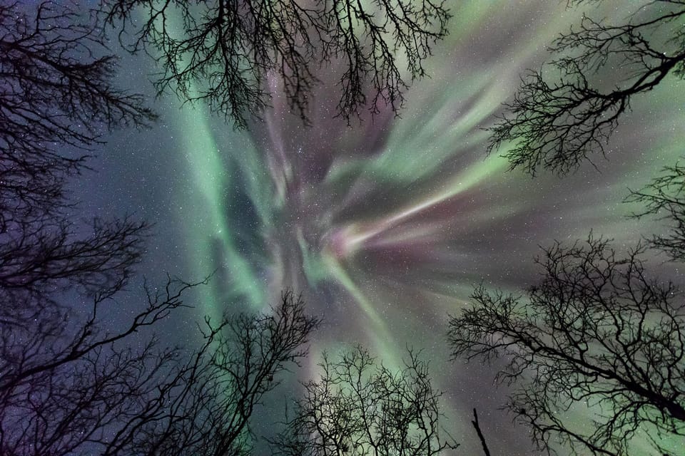 Abisko: Guided Autumn Aurora Chase With Hotel Transfers - Experience Highlights