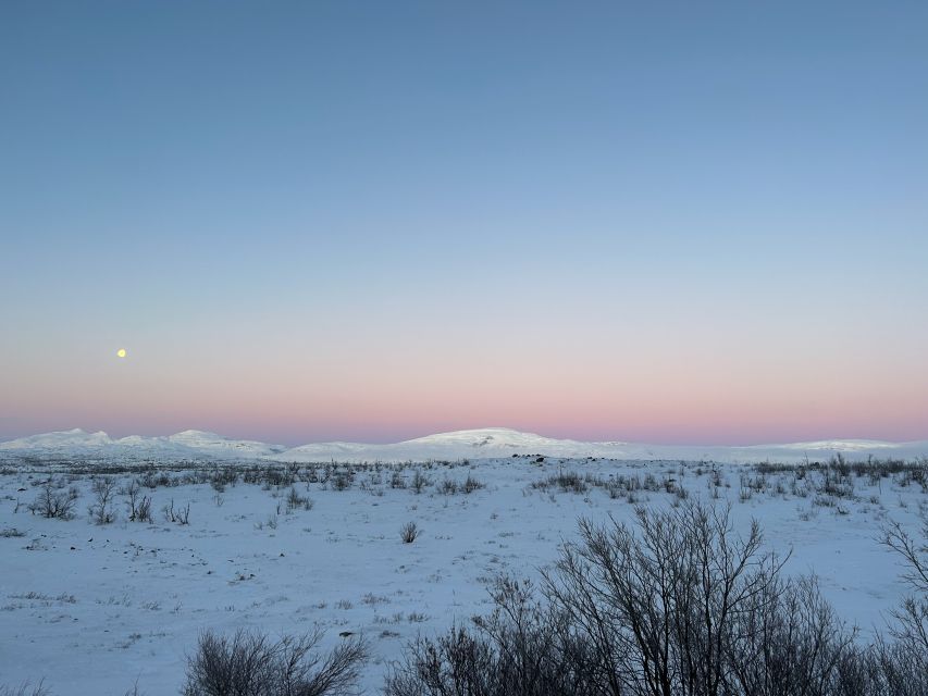 Abisko: Guided Sunrise Morning Hike With Hot Chocolate - Wildlife Spotting Opportunities