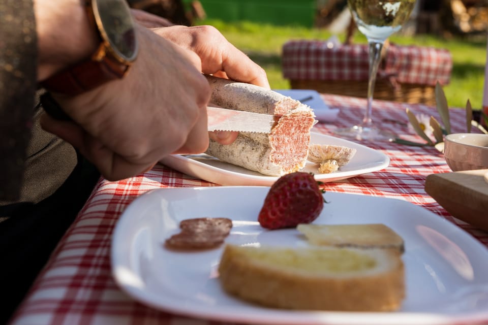 Abruzzo: Country Picnic in an Olive Grove at a Winery - Savoring Local Flavors and Wines