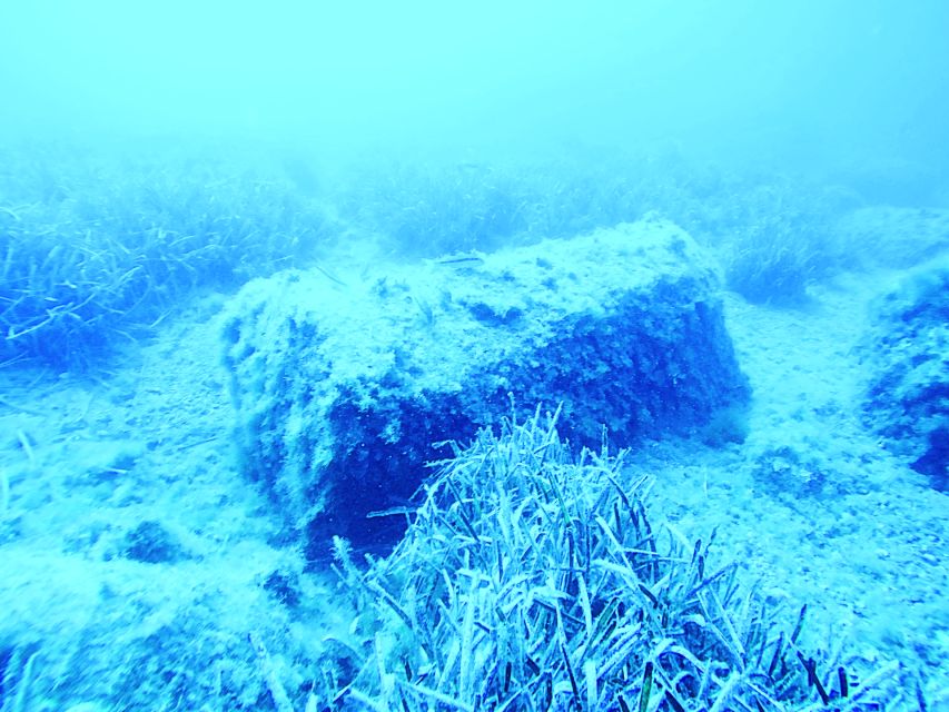 Aci Castello Freediving Snorkeling. - Explore Volcanic Seabed