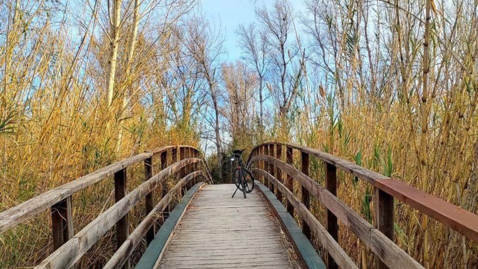 Active Bike Tour: River Turia Natural Park. - Itinerary Details