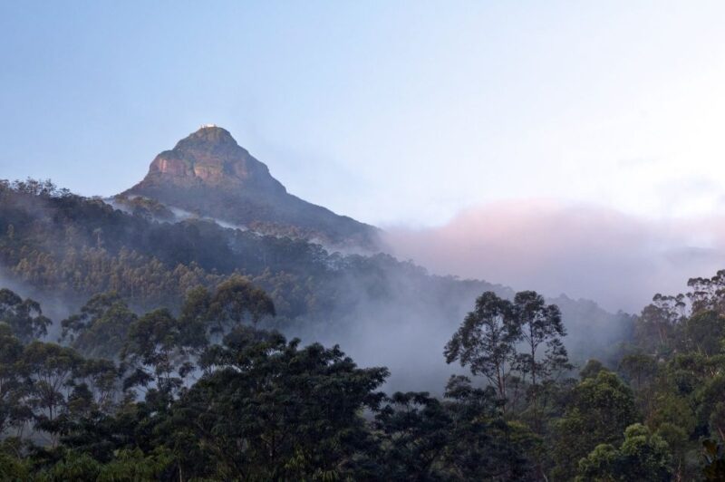 Adams Peak: Overnight Trek via Peak Wilderness Sanctuary - Trek Highlights