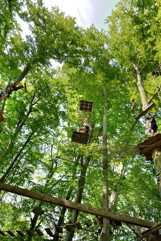 Adventure Park Potsdam: Adventure Climbing in the Trees - Climbing Parcours and Activities