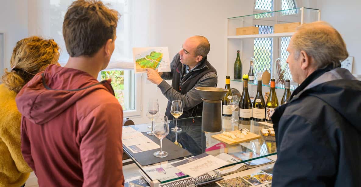 Afternoon- Wine Tour in Touraine From Tours or Amboise - Wine Experience Details