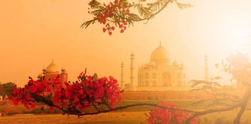 Agra: Private Day Trip to Taj Mahal & Agra Fort - Tour Highlights