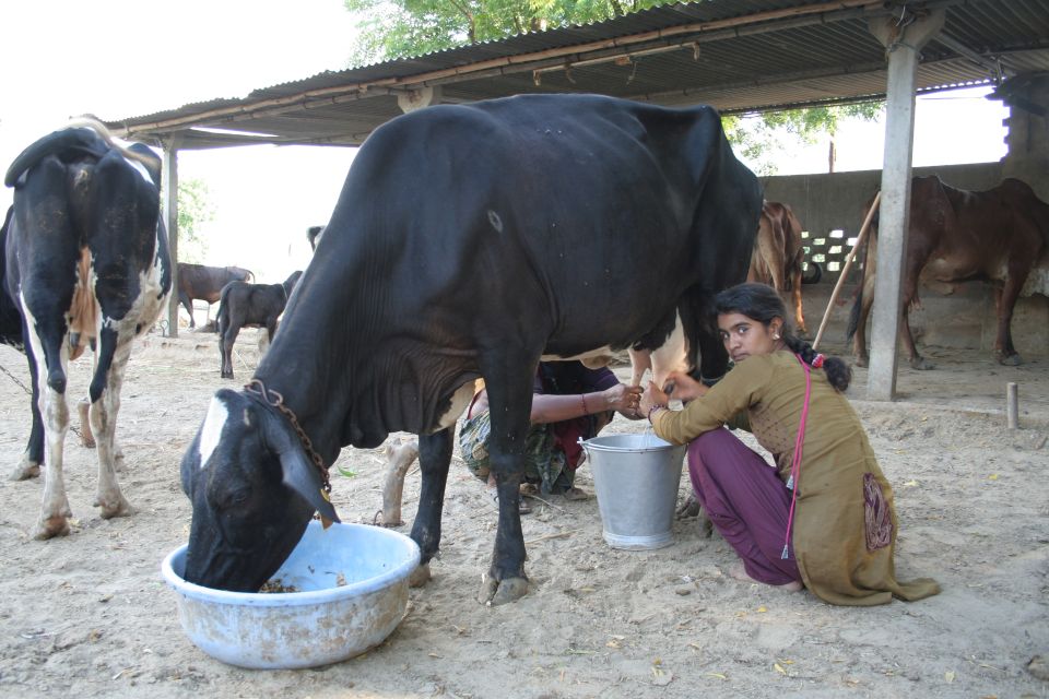 Agra: Village Tour In The Shed of Crown Palace By Local. - Villages and Locations