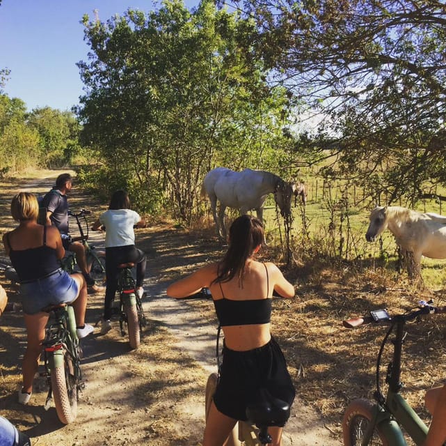 Aigues Mortes: Safari on a Bike - Ebike Tour in Camargue - Included in Tour