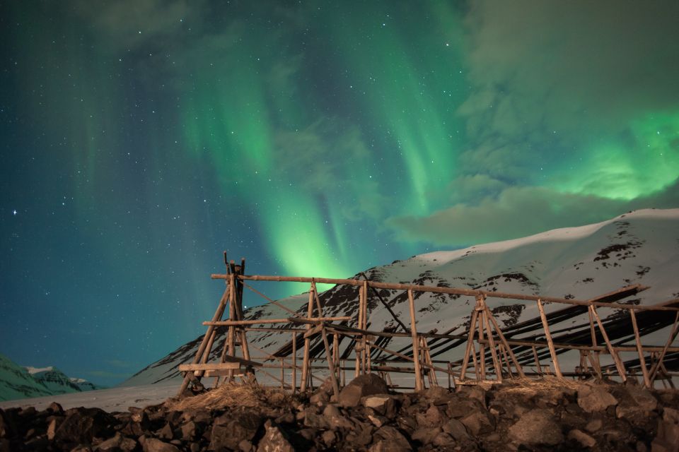 Akureyri: Private Northern Lights Tour With Transfer & Snack - What to Expect During the Tour