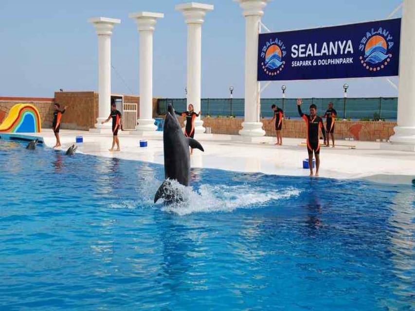 Alanya: Dolphin and Sea Lion Show at Sealanya Dolphin Park - Ticket Pricing Details