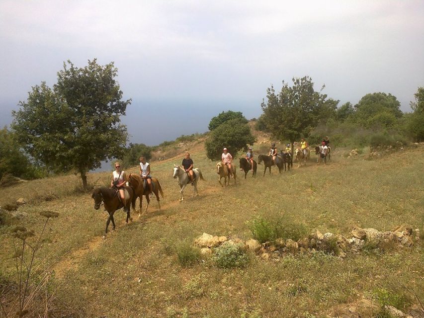 Alanya: Horse Riding Adventure - Customer Feedback