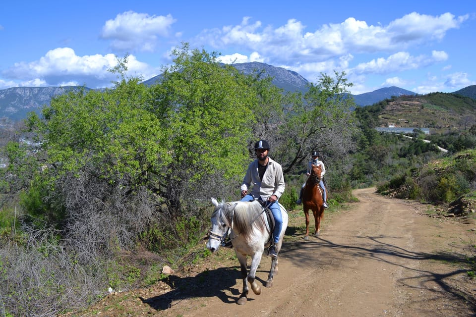 Alanya: Horse Riding Club Transfer Service - Experience Highlights