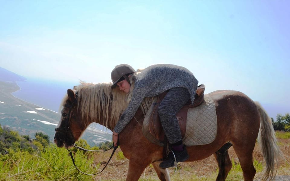 Alanya: Private Horse Safari - Various Tour Options