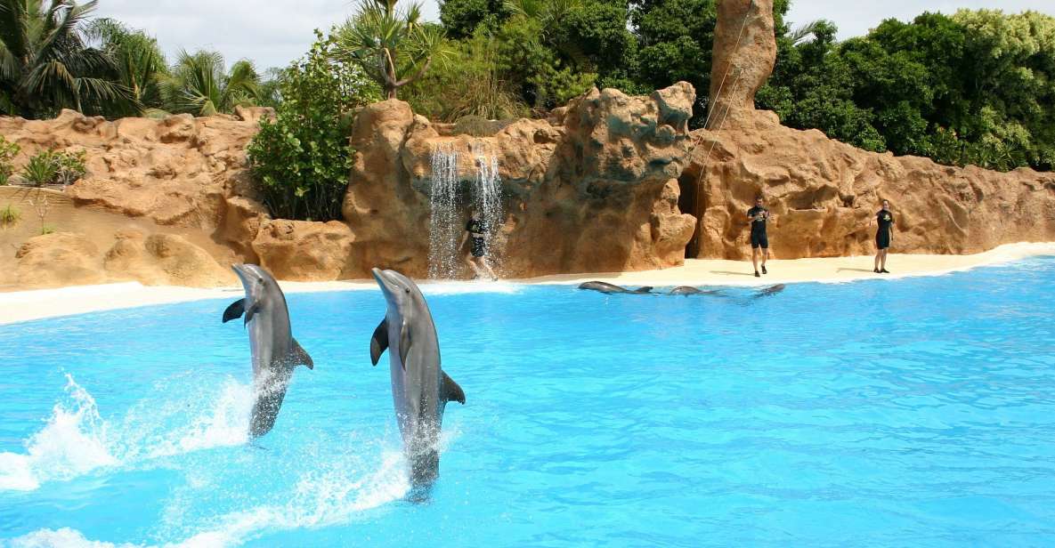 Alanya: Sealanya Dolphinpark Dolphin Show Tour - Additional Activities