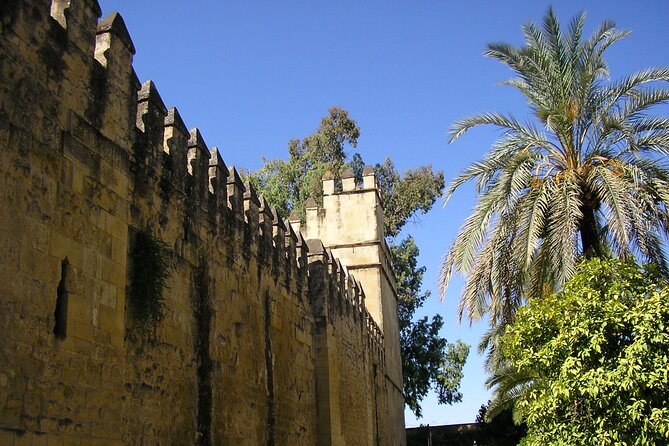 Alcazar Skip the Line Guided Tour - Guided Experience