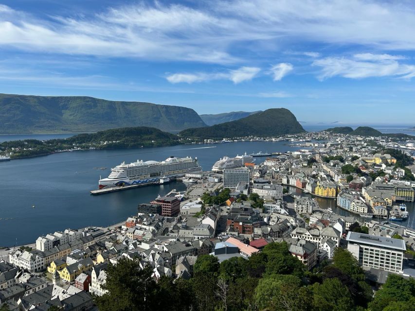 Ålesund: Giske and Godøy Islands Guided Sightseeing Tour - Experience and Features