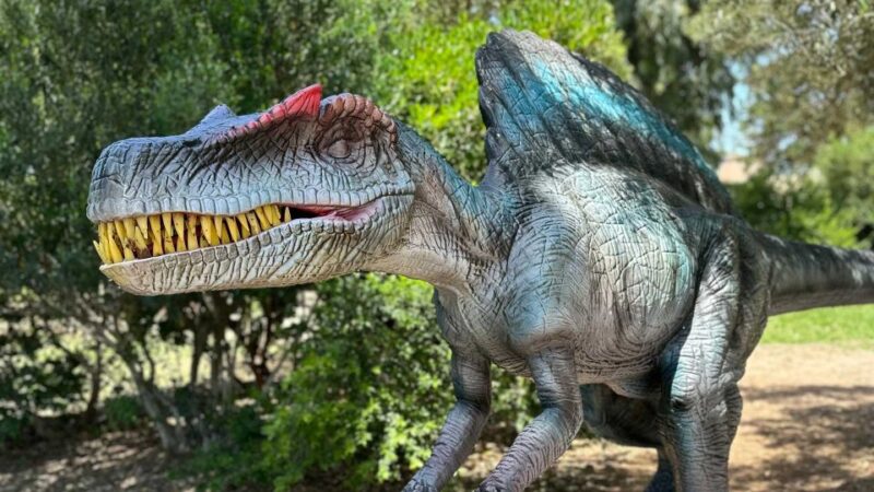 Alghero: Discover Dinosaurs in Porto Conte Park - Highlights of the Experience