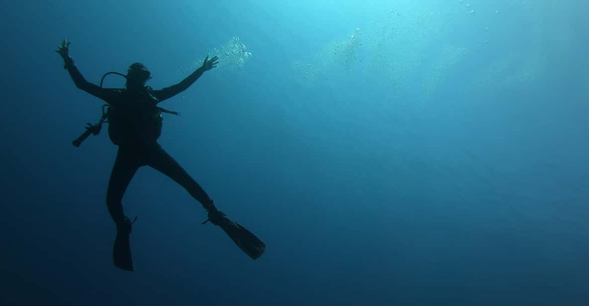 Alghero: Diving Experience - Equipment Provided for Divers