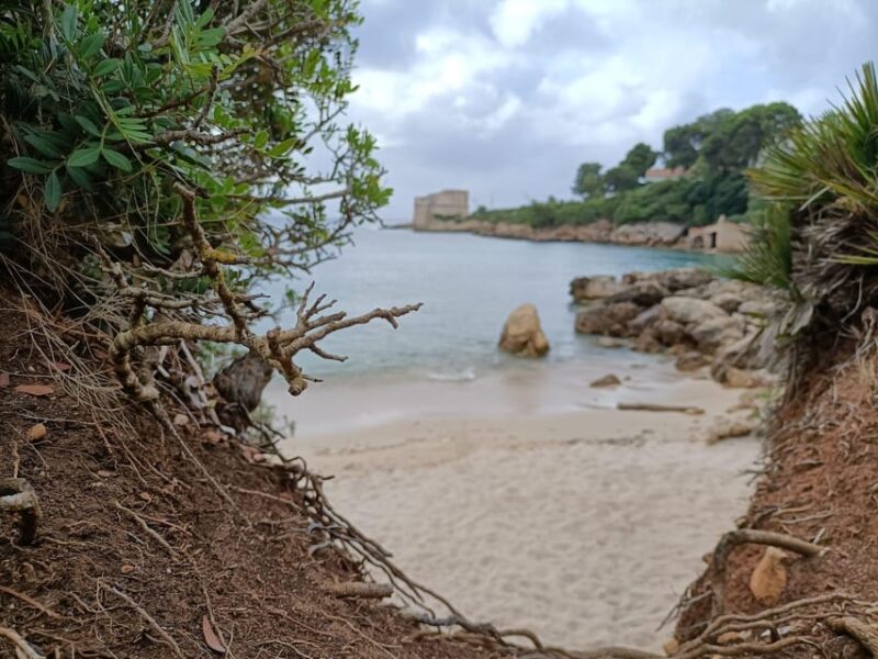 Alghero Panoramic E-Scooter Tour: Explore History & Nature - Experience Features