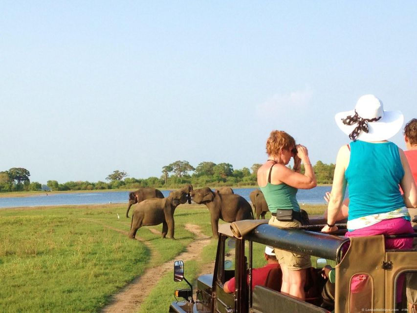 All-Inclusive Minneriya National Park Afternoon Safari - Highlights of Wildlife