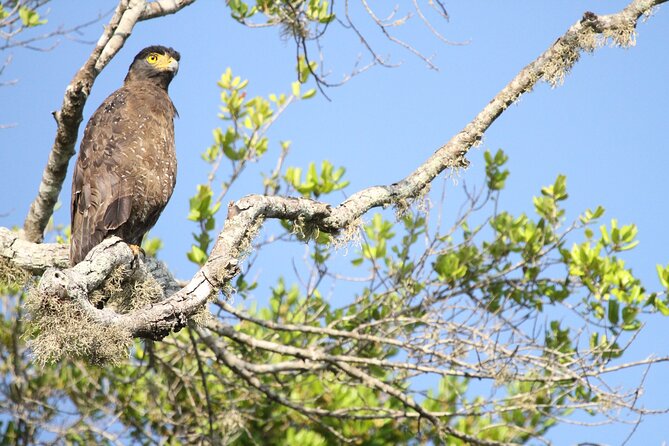 All Inclusive Private Full Day Safari in Yala National Park With Lunch - Meeting and Pickup Locations