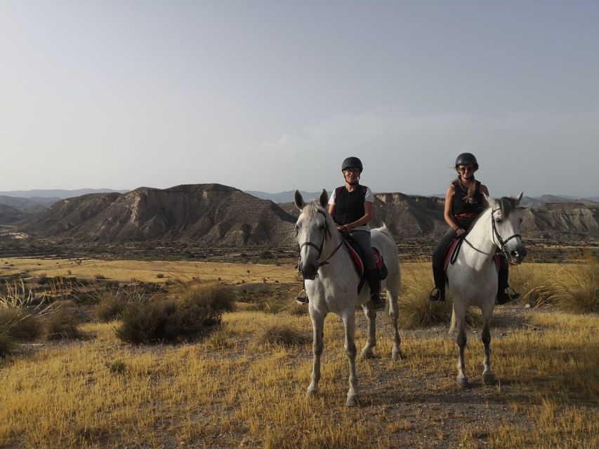 Almeria: Horse Riding Tour Through the Tabernas Desert - Tour Structure and Safety