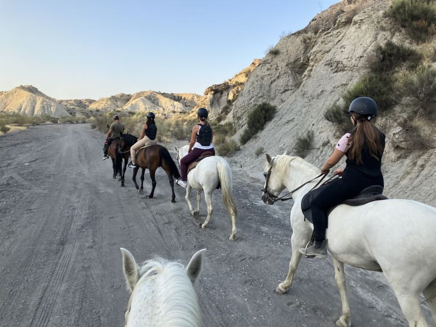 Almeria: Tabernas Desert Horse Riding for Experienced Riders - Participant Requirements