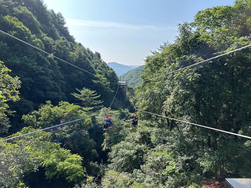 Alpaca World + Garisan 2 Course Zipwire - Highlights and Inclusions