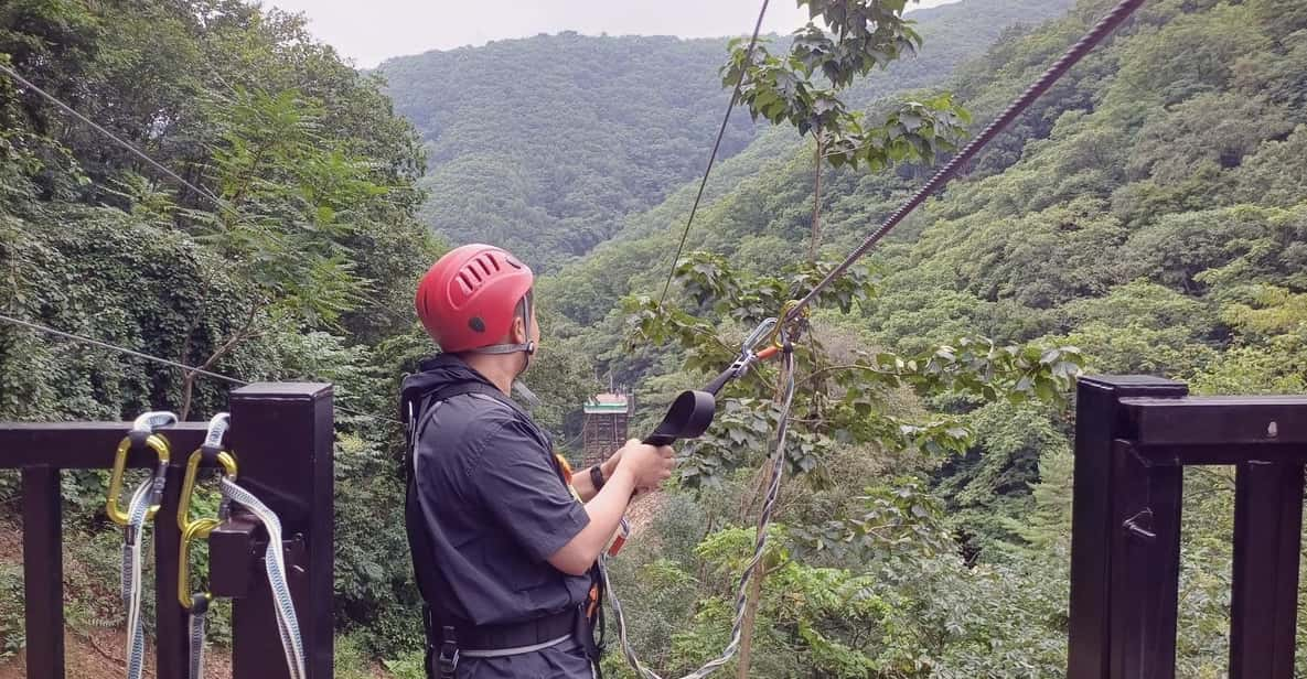 Alpaca World + Garisan FULL Course Zipwire - Included Services