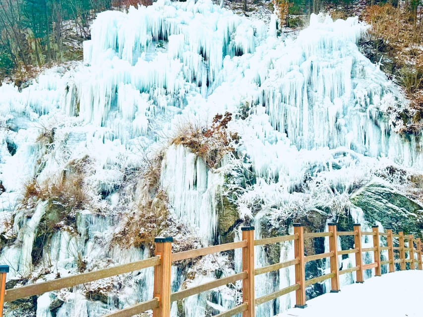 Alpaca World & Rail Bike & Chuncheon Ice Valley Waterfall - Attractions Highlights