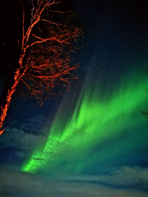 Amazing Aurora With BBQ in the Best Spot in Rovaniemi! - Highlights of the Northern Lights