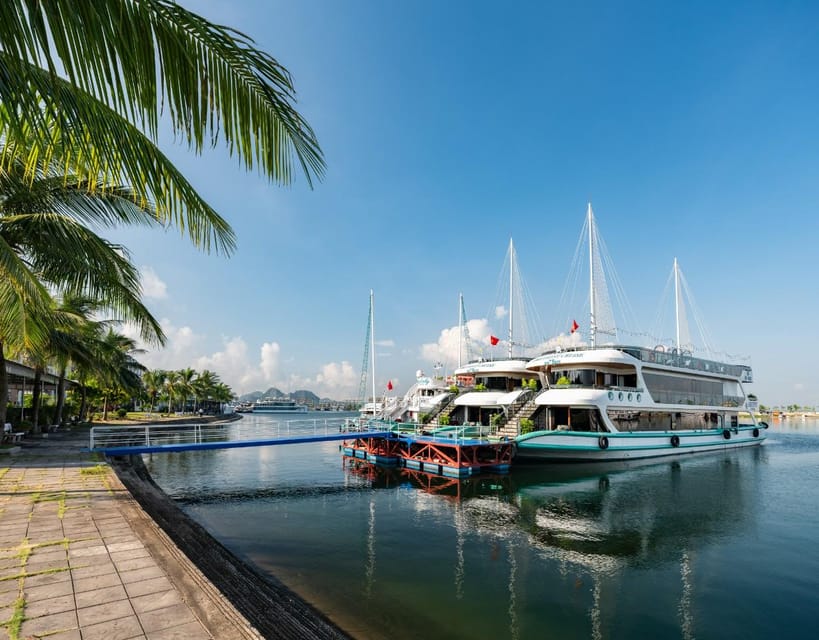 Amethyst Luxury Day Cruise- Explore Halong Bay/ Caves, Kayak - Daily Schedule Breakdown