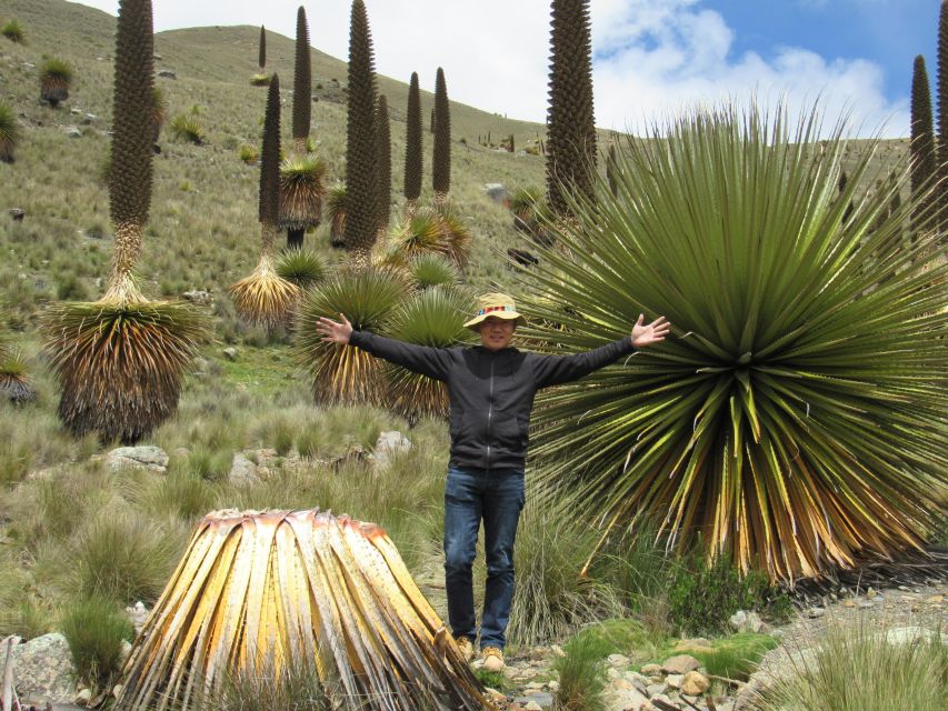 Ancash: Nevado Pastors and Puyas Raymondi Tour | Full Day | - Environmental Awareness