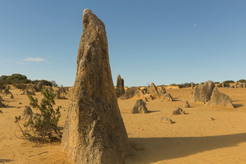 Ancient Echoes: Exploring Callanish's Stone Circles - Exploring the Stone Circles