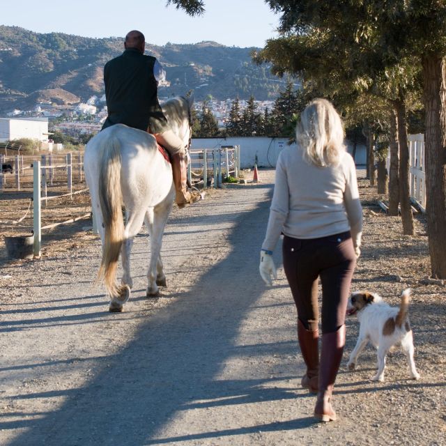 Andalucia: Horse Riding Tour With Picnic - Experience Highlights