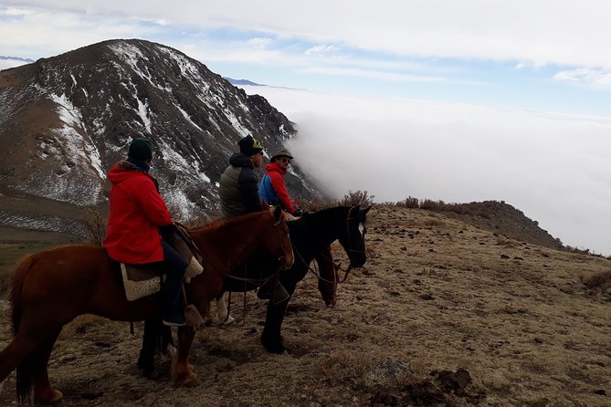 Andes Day Horseback Riding Tour and BBQ - Reviews Summary