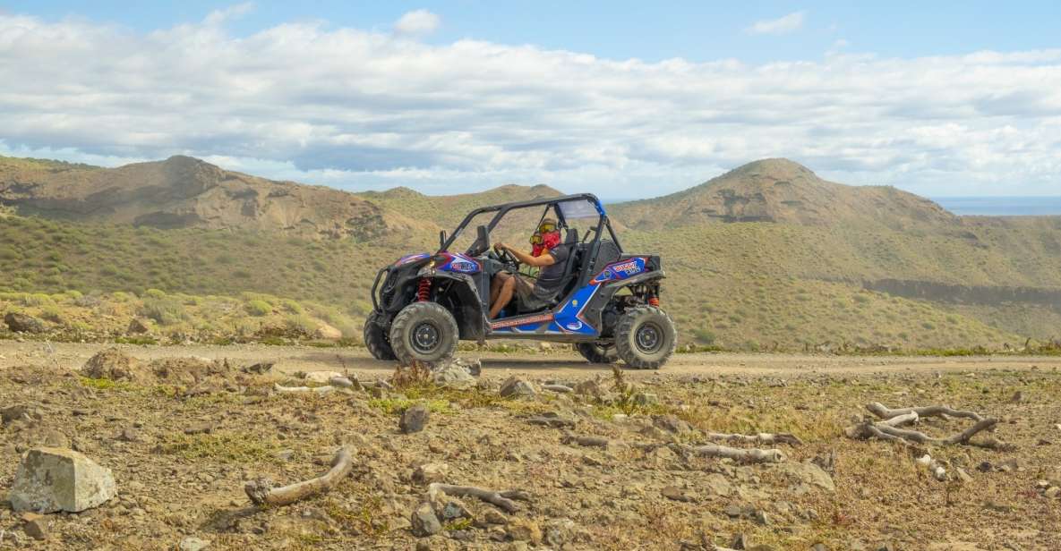 Anfi Beach: Guided Buggy Tour. - Experience Highlights