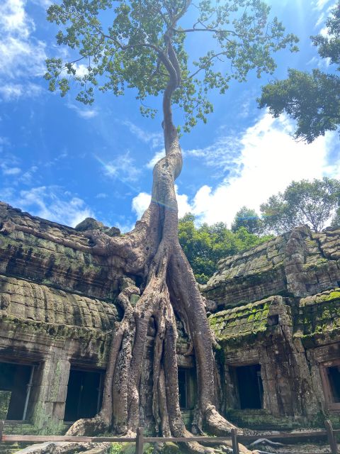 Angkor Exploration Day Tour - Tour Logistics and Accessibility