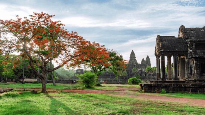 Angkor Highlights Tour: Angkor Wat, Angkor Thom & Ta Prohm - Guided Experience Details