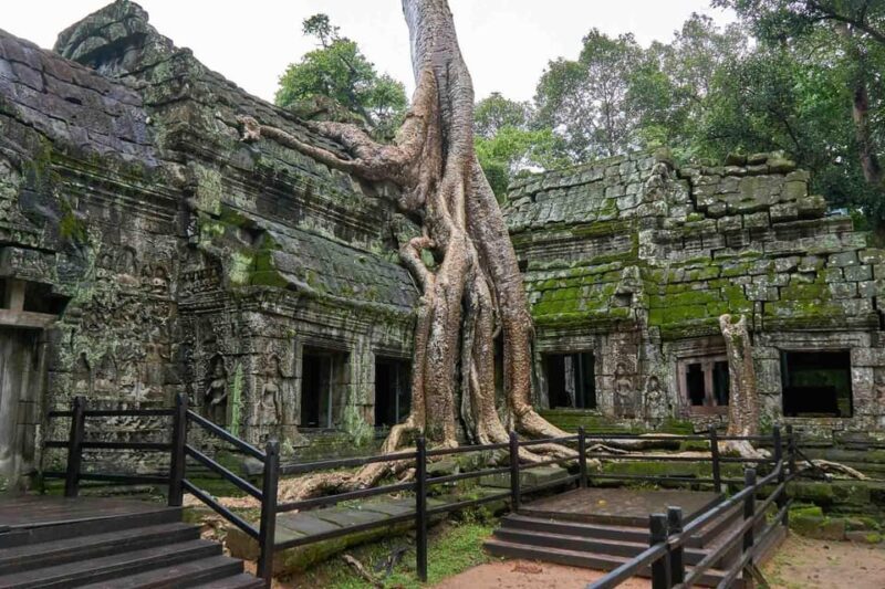 Angkor Zipline and Temple Tour With Sunset - Good To Know