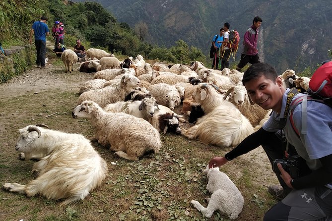Annapurna: 2 Days 1 Night Poon Hill Trekking - Itinerary Breakdown